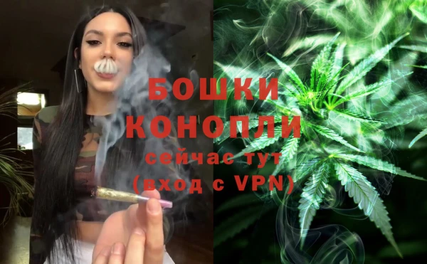 гашик Артём