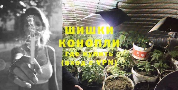 хмурый Липки