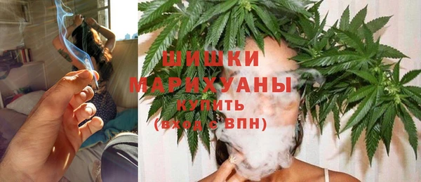 хмурый Липки