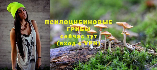 хмурый Липки