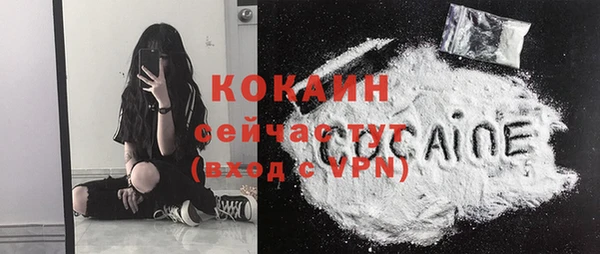 хмурый Липки