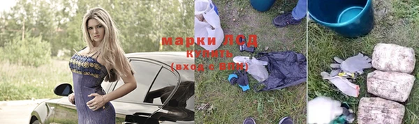 хмурый Липки