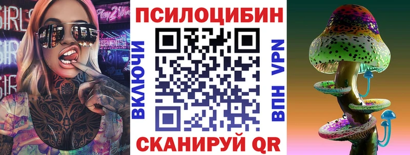 блэк спрут вход  продажа наркотиков  Александровское  Галлюциногенные грибы прущие грибы 
